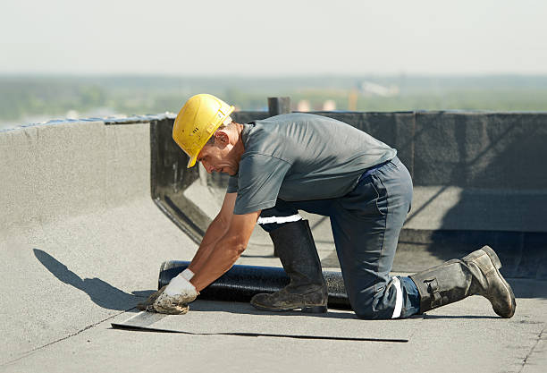 Best Cellulose Insulation in Mont Alto, PA